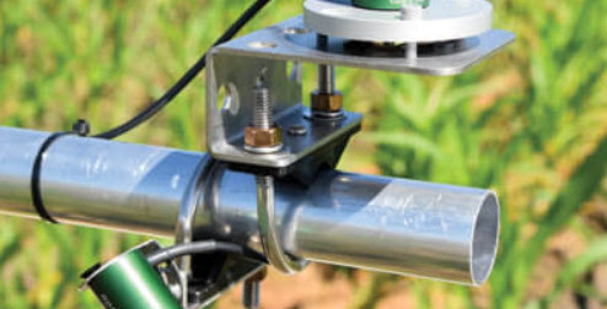 SENSOR NDVI